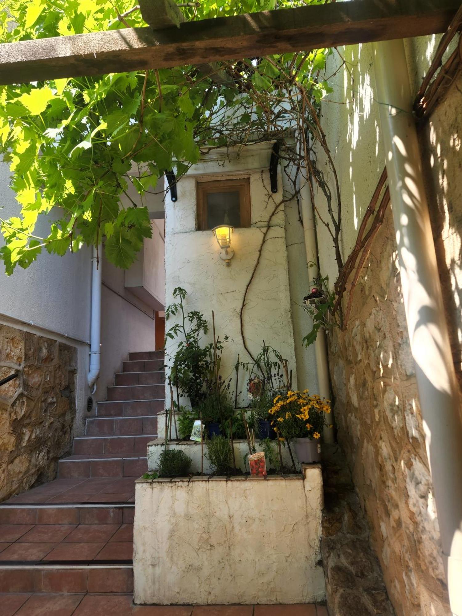 2 Pieces, Proche Centre Ville, Gip Asfo, Jardin Et Parking Privatifs * Grasse