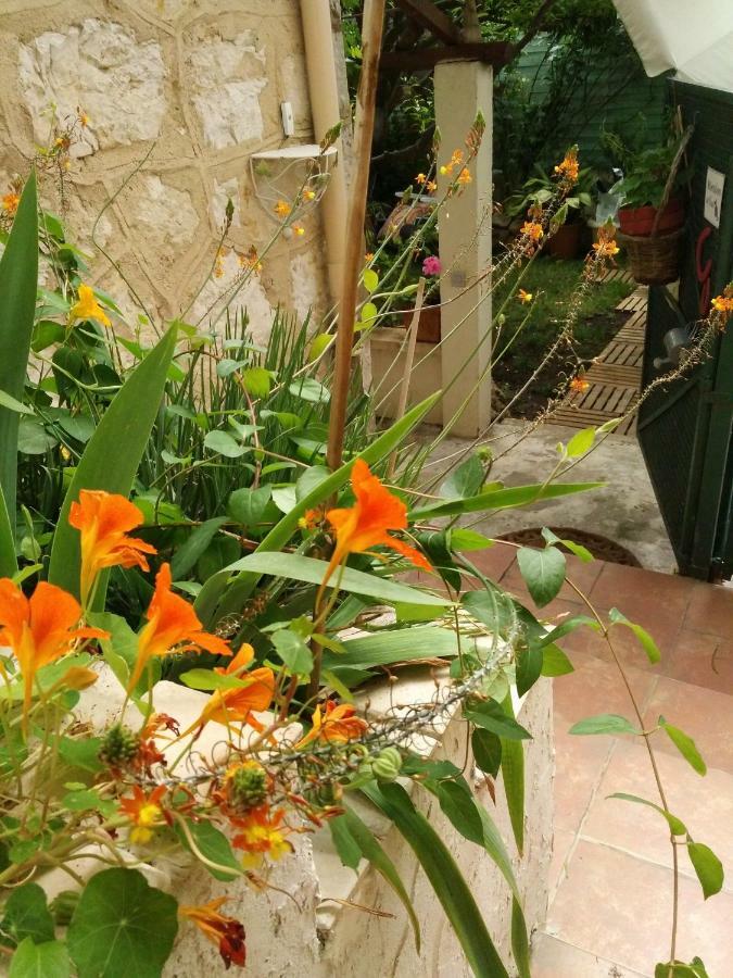 2 Pieces, Proche Centre Ville, Gip Asfo, Jardin Et Parking Privatifs Apartment