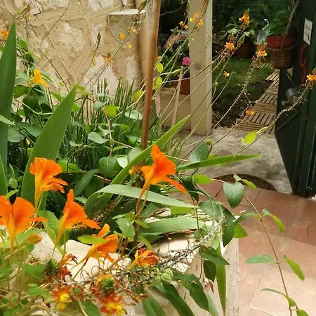Bel appartement avec jardin privatif Grasse Extérieur photo